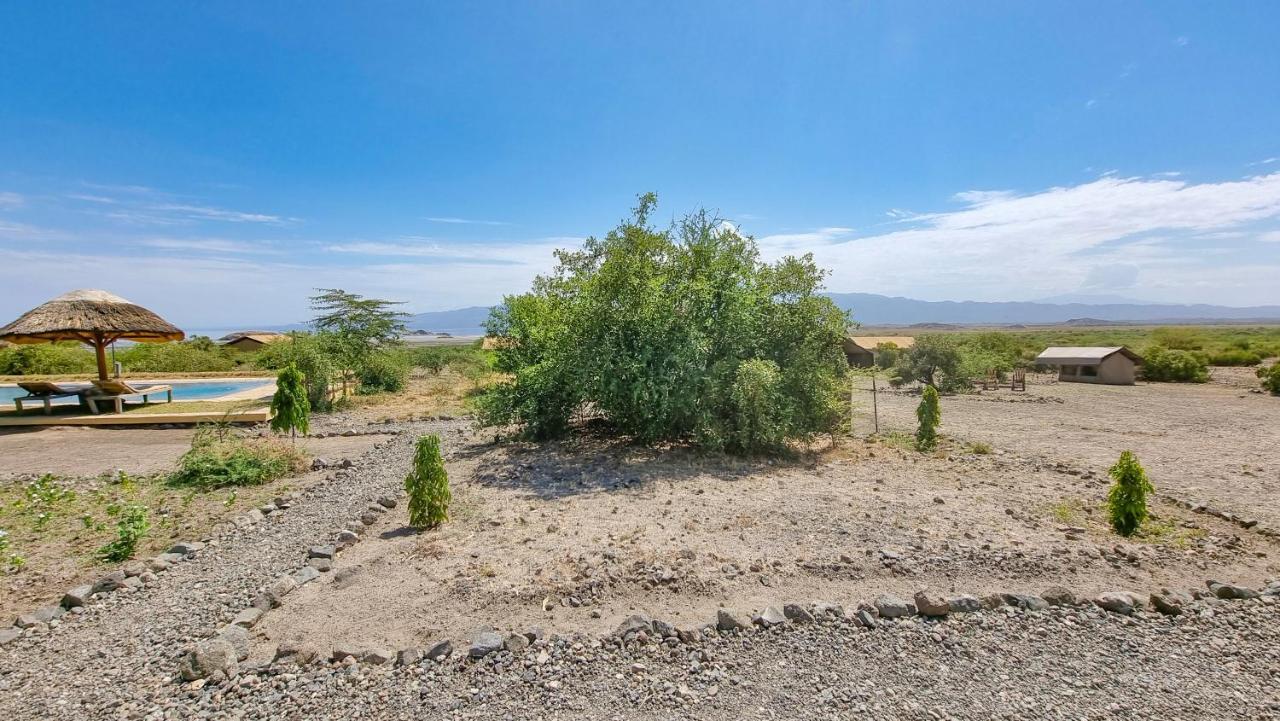 Africa Safari Lake Natron Camping Mtowabaga Luaran gambar